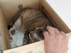 DSCF4845.JPG