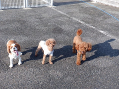 DSCF4859.JPG