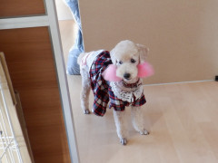 DSCF4865.JPG