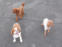 DSCF4879.JPG