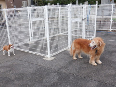 DSCF4871.JPG