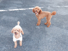 DSCF4920.JPG