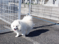 DSCF4925.JPG