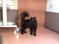 DSCF4940.JPG