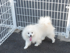 DSCF4931.JPG