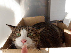 DSCF4943.JPG