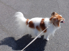 DSCF4952.JPG