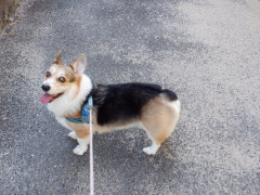 DSCF4953.JPG