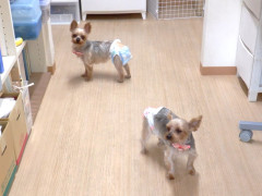 DSCF4962.JPG