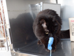 DSCF4976.JPG
