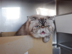 DSCF4978.JPG