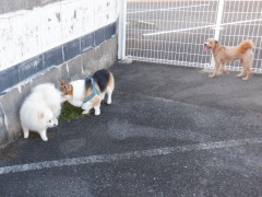 DSCF5006.JPG