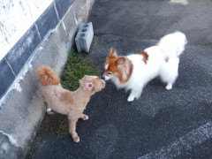 DSCF4994.JPG
