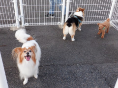 DSCF4983.JPG