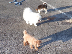 DSCF5029.JPG