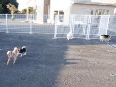 DSCF5031.JPG