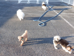 DSCF5026.JPG
