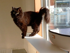 DSCF5059.JPG