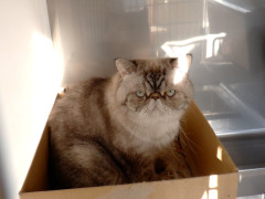 DSCF5065.JPG