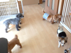 DSCF5073.JPG