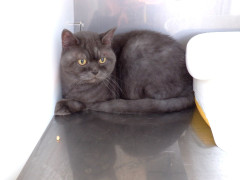 DSCF5078.JPG