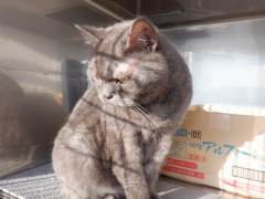 DSCF5096.JPG