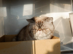 DSCF5098.JPG