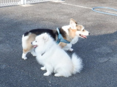 DSCF5106.JPG
