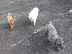 DSCF5127.JPG