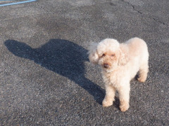 DSCF5132.JPG