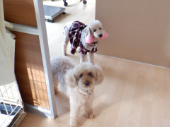 DSCF5134.JPG