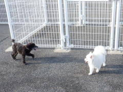 DSCF5140.JPG