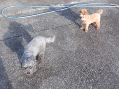 DSCF5146.JPG