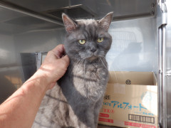 DSCF5156.JPG