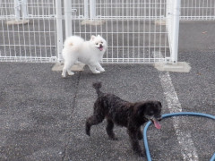 DSCF5158.JPG