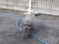 DSCF5165.JPG