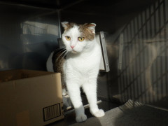 DSCF5167.JPG