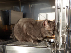 DSCF5176.JPG