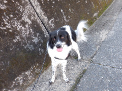 DSCF5173.JPG