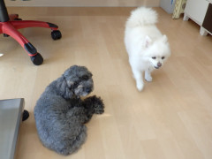 DSCF5197.JPG