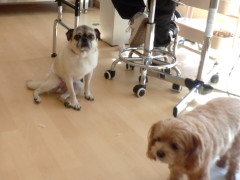 DSCF5195.JPG