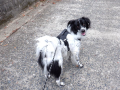 DSCF5202.JPG