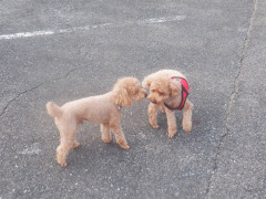 DSCF5213.JPG