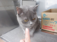 DSCF5223.JPG