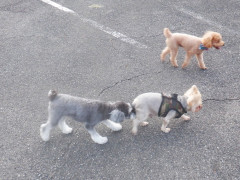 DSCF5219.JPG