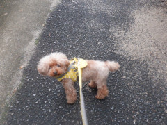 DSCF5266.JPG