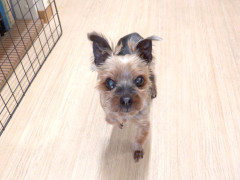 DSCF9934.JPG