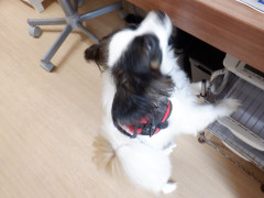 DSCF9935.JPG