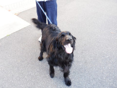 DSCF9956.JPG
