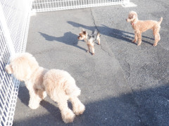 DSCF9977.JPG